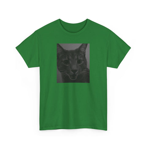 Mr Gray the Cat Surprised Face - Heavy Cotton T-Shirt